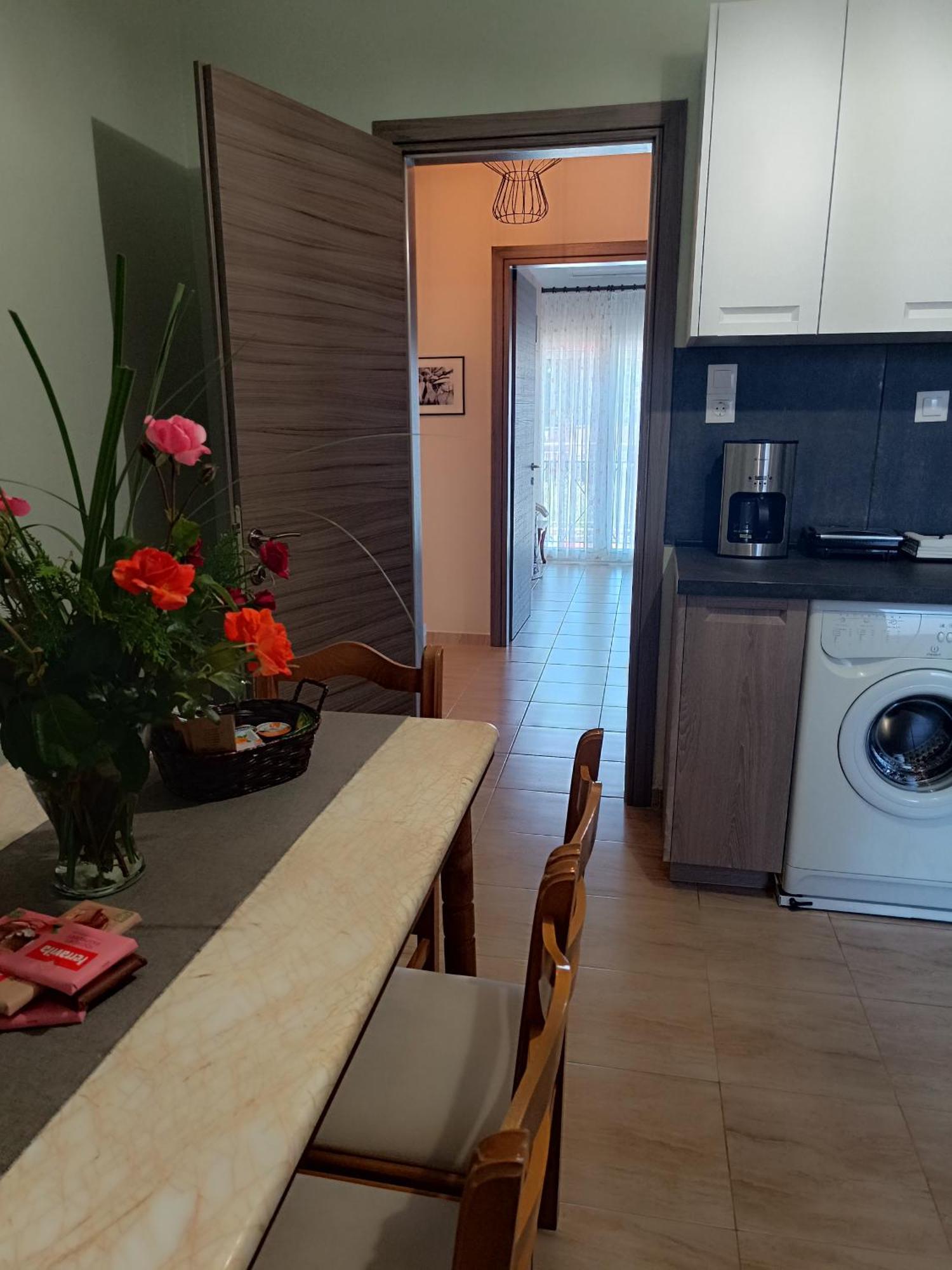 Panos House - High Luxury Apartment Trikala  Exterior photo